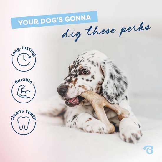 Benebone Small Puppy Soft Toy Bone - Suitable for Moderate Chewing Benebone Small Puppy Soft Toy Bone - Suitable for Moderate Chewing
