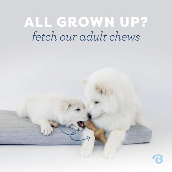 Benebone Small Puppy Soft Toy Bone - Suitable for Moderate Chewing Benebone Small Puppy Soft Toy Bone - Suitable for Moderate Chewing