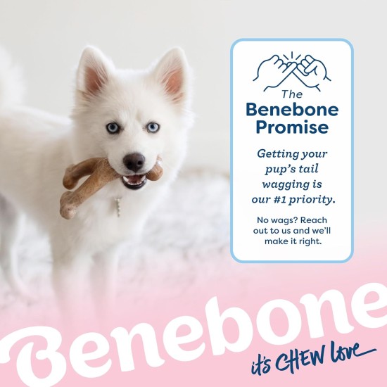 Benebone Small Puppy Soft Toy Bone - Suitable for Moderate Chewing Benebone Small Puppy Soft Toy Bone - Suitable for Moderate Chewing