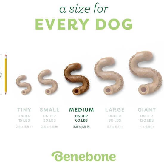Benebone Tripe Bone Durable Chew Toy for Aggressive Chewers, Real Tripe, Small Benebone Tripe Bone Durable Chew Toy for Aggressive Chewers, Real Tripe, Small