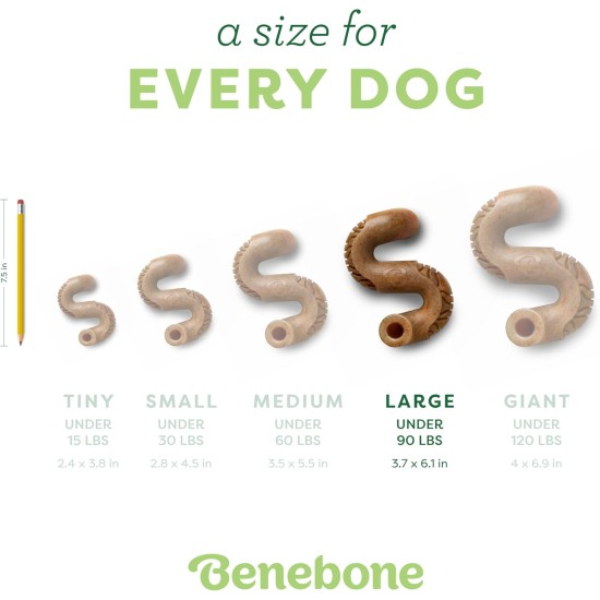 Benebone Tripe Bone Durable Chew Toy for Aggressive Chewers, Real Tripe, Small Benebone Tripe Bone Durable Chew Toy for Aggressive Chewers, Real Tripe, Small