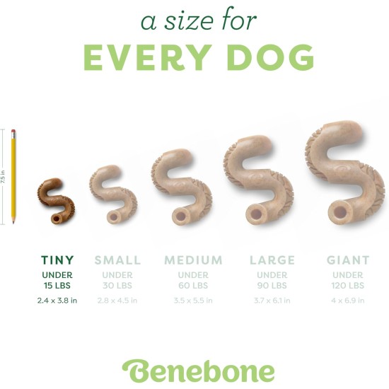 Benebone Tripe Bone Durable Chew Toy for Aggressive Chewers, Real Tripe, Small Benebone Tripe Bone Durable Chew Toy for Aggressive Chewers, Real Tripe, Small