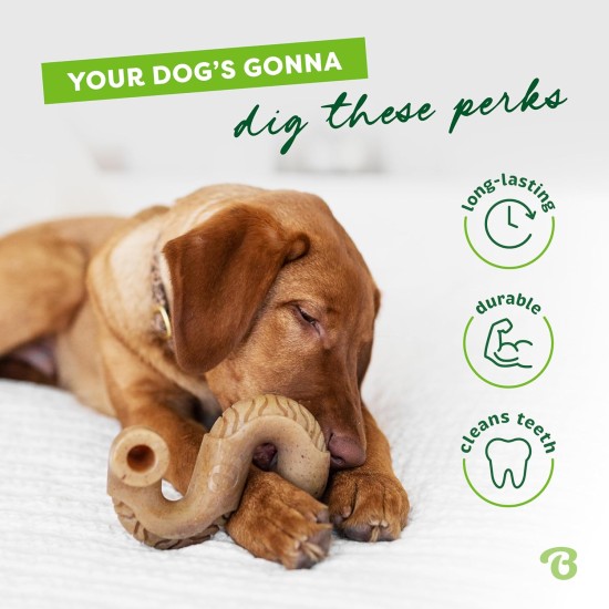 Benebone Tripe Bone Durable Dog Chew Toy for Aggressive Chewers, Real Tripe, Giant Benebone Tripe Bone Durable Dog Chew Toy for Aggressive Chewers, Real Tripe, Giant