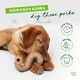 Benebone Tripe Bone Durable Dog Chew Toy for Aggressive Chewers, Real Tripe, Giant Benebone Tripe Bone Durable Dog Chew Toy for Aggressive Chewers, Real Tripe, Giant