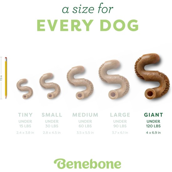 Benebone Tripe Bone Durable Dog Chew Toy for Aggressive Chewers, Real Tripe, Giant Benebone Tripe Bone Durable Dog Chew Toy for Aggressive Chewers, Real Tripe, Giant