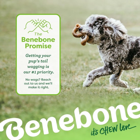 Benebone Tripe Bone Durable Dog Chew Toy for Aggressive Chewers, Real Tripe, Giant Benebone Tripe Bone Durable Dog Chew Toy for Aggressive Chewers, Real Tripe, Giant