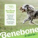 Benebone Tripe Bone Durable Dog Chew Toy for Aggressive Chewers, Real Tripe, Giant Benebone Tripe Bone Durable Dog Chew Toy for Aggressive Chewers, Real Tripe, Giant