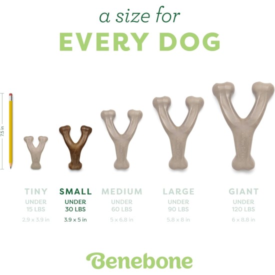 Benebone Wishbone Real Bacon Medium Durable Dog Chew Toy for Aggressive Chewers Benebone Wishbone Real Bacon Medium Durable Dog Chew Toy for Aggressive Chewers