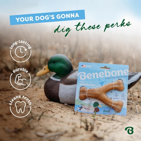 Benebone Wishbone Real Bacon Medium Durable Dog Chew Toy for Aggressive Chewers Benebone Wishbone Real Bacon Medium Durable Dog Chew Toy for Aggressive Chewers