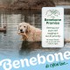 Benebone Wishbone Real Bacon Medium Durable Dog Chew Toy for Aggressive Chewers