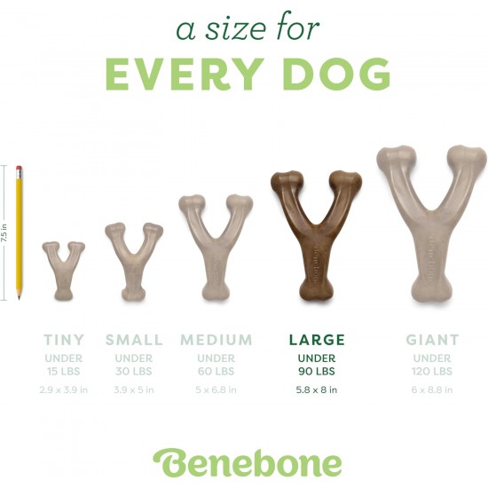 Benebone Wishbone Real Bacon Medium Durable Dog Chew Toy for Aggressive Chewers Benebone Wishbone Real Bacon Medium Durable Dog Chew Toy for Aggressive Chewers