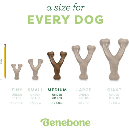 Benebone Wishbone Real Bacon Medium Durable Dog Chew Toy for Aggressive Chewers Benebone Wishbone Real Bacon Medium Durable Dog Chew Toy for Aggressive Chewers