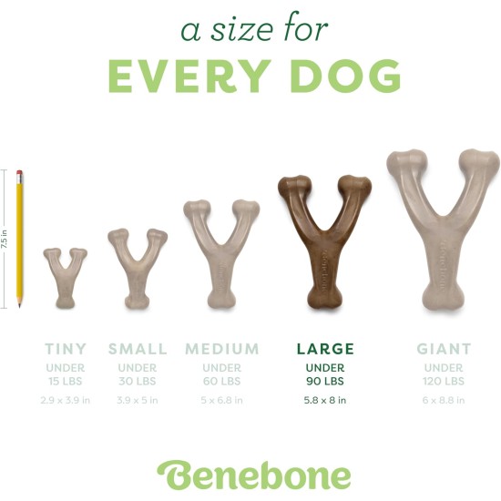 Benebone Wishbone Real Bacon Medium Durable Dog Chew Toy for Aggressive Chewers Benebone Wishbone Real Bacon Medium Durable Dog Chew Toy for Aggressive Chewers