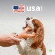 Benebone Wishbone Real Bacon Medium Durable Dog Chew Toy for Aggressive Chewers Benebone Wishbone Real Bacon Medium Durable Dog Chew Toy for Aggressive Chewers