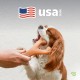 Benebone Wishbone Real Bacon Medium Durable Dog Chew Toy for Aggressive Chewers