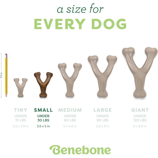 Benebone Wishbone Real Bacon Medium Durable Dog Chew Toy for Aggressive Chewers Benebone Wishbone Real Bacon Medium Durable Dog Chew Toy for Aggressive Chewers