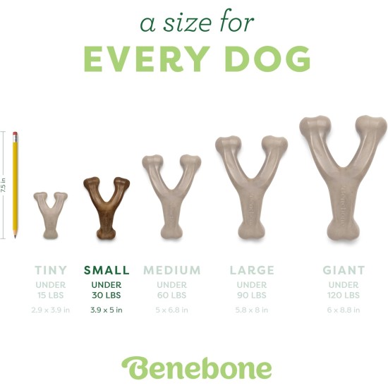 Benebone Wishbone Real Bacon Medium Durable Dog Chew Toy for Aggressive Chewers Benebone Wishbone Real Bacon Medium Durable Dog Chew Toy for Aggressive Chewers