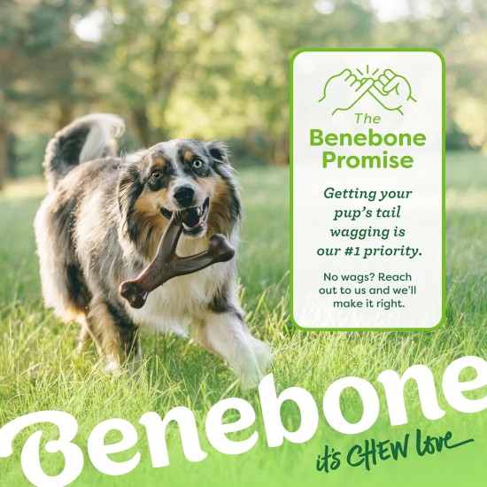 Benebone Wishbone Real Bacon Medium Durable Dog Chew Toy for Aggressive Chewers Benebone Wishbone Real Bacon Medium Durable Dog Chew Toy for Aggressive Chewers