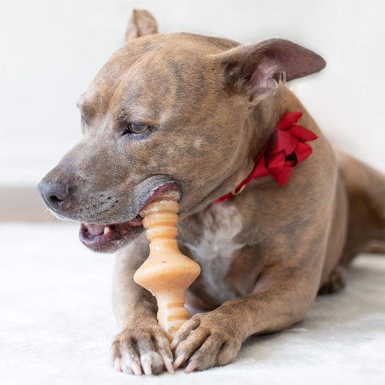 Benebone Zaggler Indestructible Rolling Dog Chew Toy for Aggressive Chewers, Long-Lasting Durable Boredom Breaker for Dogs, Real Chicken Flavour, for Medium Dogs, Made in Benebone Zaggler Indestructible Rolling Dog Chew Toy for Aggressive Chewers, Long-Lasting Durable Boredom Breaker for Dogs, Real Chicken Flavour, for Medium Dogs, Made in