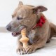 Benebone Zaggler Indestructible Rolling Dog Chew Toy for Aggressive Chewers, Long-Lasting Durable Boredom Breaker for Dogs, Real Chicken Flavour, for Medium Dogs, Made in Benebone Zaggler Indestructible Rolling Dog Chew Toy for Aggressive Chewers, Long-Lasting Durable Boredom Breaker for Dogs, Real Chicken Flavour, for Medium Dogs, Made in