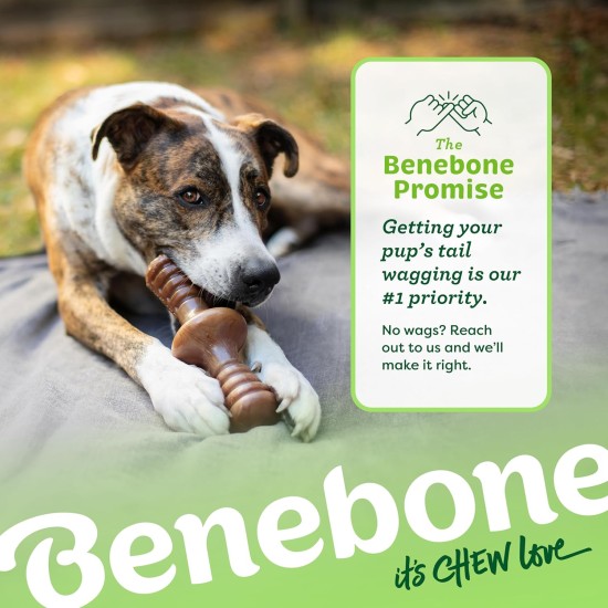 Benebone Zaggler Indestructible Rolling Dog Chew Toy for Aggressive Chewers, Long-Lasting Durable Boredom Breaker for Dogs, Real Chicken Flavour, for Medium Dogs, Made in Benebone Zaggler Indestructible Rolling Dog Chew Toy for Aggressive Chewers, Long-Lasting Durable Boredom Breaker for Dogs, Real Chicken Flavour, for Medium Dogs, Made in