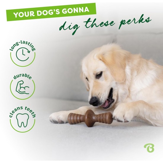 Benebone Zaggler Indestructible Rolling Dog Chew Toy for Aggressive Chewers, Long-Lasting Durable Boredom Breaker for Dogs, Real Chicken Flavour, for Medium Dogs, Made in Benebone Zaggler Indestructible Rolling Dog Chew Toy for Aggressive Chewers, Long-Lasting Durable Boredom Breaker for Dogs, Real Chicken Flavour, for Medium Dogs, Made in