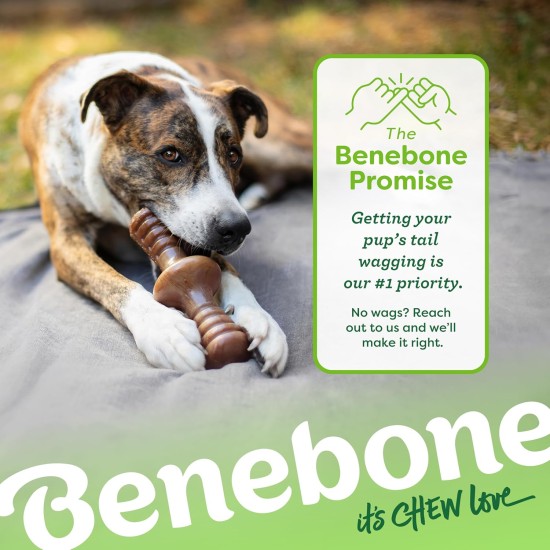 Benebone Zaggler Indestructible Rolling Dog Chew Toy for Aggressive Chewers, Long-Lasting Durable Boredom Breaker for Dogs, Real Chicken Flavour, for Medium Dogs, Made in Benebone Zaggler Indestructible Rolling Dog Chew Toy for Aggressive Chewers, Long-Lasting Durable Boredom Breaker for Dogs, Real Chicken Flavour, for Medium Dogs, Made in