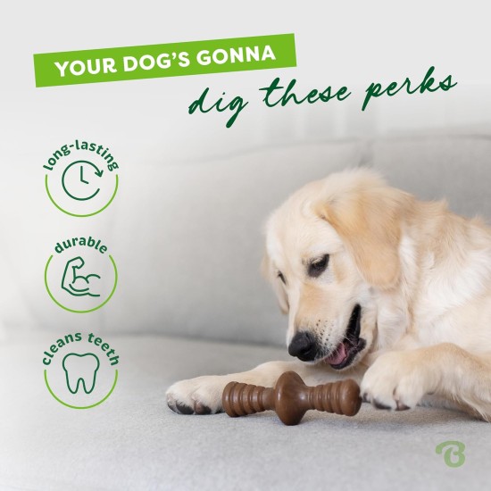 Benebone Zaggler Indestructible Rolling Dog Chew Toy for Aggressive Chewers, Long-Lasting Durable Boredom Breaker for Dogs, Real Chicken Flavour, for Medium Dogs, Made in Benebone Zaggler Indestructible Rolling Dog Chew Toy for Aggressive Chewers, Long-Lasting Durable Boredom Breaker for Dogs, Real Chicken Flavour, for Medium Dogs, Made in