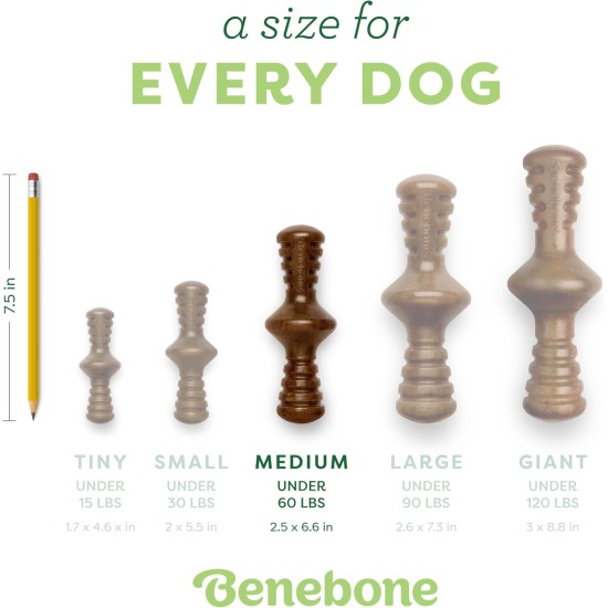 Benebone Zaggler Indestructible Rolling Dog Chew Toy for Aggressive Chewers, Long-Lasting Durable Boredom Breaker for Dogs, Real Chicken Flavour, for Medium Dogs, Made in Benebone Zaggler Indestructible Rolling Dog Chew Toy for Aggressive Chewers, Long-Lasting Durable Boredom Breaker for Dogs, Real Chicken Flavour, for Medium Dogs, Made in