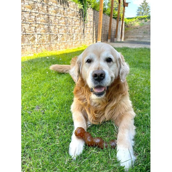 Flamingo Rubba Bone Dog Toy - Brown, Made of Natural Rubber, Robust and Safe, Size L (20 x 6 x 6 cm), Ideal for Labradors, Golden Retrievers, German Shepherds, Boxers etc. Flamingo Rubba Bone Dog Toy - Brown, Made of Natural Rubber, Robust and Safe, Size L (20 x 6 x 6 cm), Ideal for Labradors, Golden Retrievers, German Shepherds, Boxers etc.