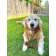 Flamingo Rubba Bone Dog Toy - Brown, Made of Natural Rubber, Robust and Safe, Size L (20 x 6 x 6 cm), Ideal for Labradors, Golden Retrievers, German Shepherds, Boxers etc. Flamingo Rubba Bone Dog Toy - Brown, Made of Natural Rubber, Robust and Safe, Size L (20 x 6 x 6 cm), Ideal for Labradors, Golden Retrievers, German Shepherds, Boxers etc.