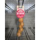 Flamingo Rubba Bone Dog Toy - Brown, Made of Natural Rubber, Robust and Safe, Size L (20 x 6 x 6 cm), Ideal for Labradors, Golden Retrievers, German Shepherds, Boxers etc. Flamingo Rubba Bone Dog Toy - Brown, Made of Natural Rubber, Robust and Safe, Size L (20 x 6 x 6 cm), Ideal for Labradors, Golden Retrievers, German Shepherds, Boxers etc.
