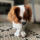 Interpet 977811 Nylabone Durachew Chicken, Regular Interpet 977811 Nylabone Durachew Chicken, Regular