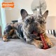 Interpet 977811 Nylabone Durachew Chicken, Regular Interpet 977811 Nylabone Durachew Chicken, Regular