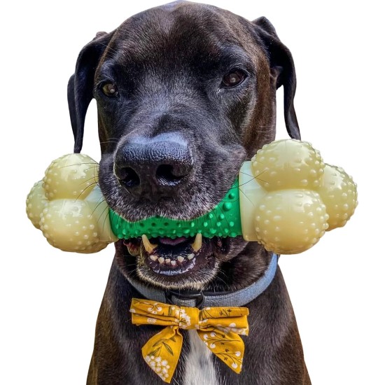 Interpet 981420 Nylabone Da Chew Bone Souper XL Interpet 981420 Nylabone Da Chew Bone Souper XL