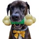 Interpet 981420 Nylabone Da Chew Bone Souper XL Interpet 981420 Nylabone Da Chew Bone Souper XL