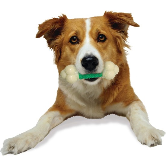 Interpet 981420 Nylabone Da Chew Bone Souper XL Interpet 981420 Nylabone Da Chew Bone Souper XL