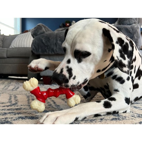 Interpet 982649 Nylabone Dura Chew Double Bend Chew Bone, Wolf, M Interpet 982649 Nylabone Dura Chew Double Bend Chew Bone, Wolf, M