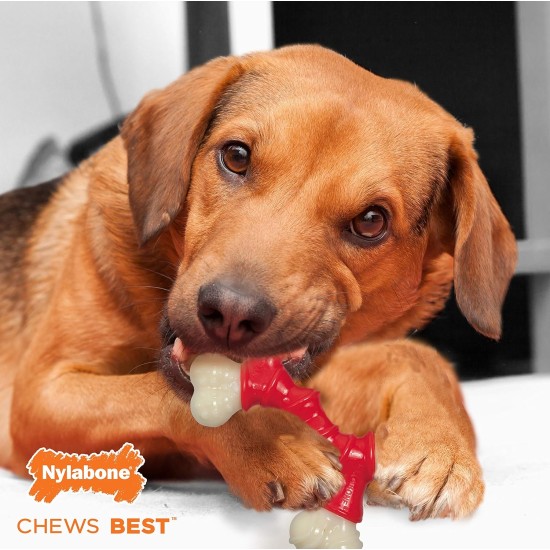 Interpet 982649 Nylabone Dura Chew Double Bend Chew Bone, Wolf, M Interpet 982649 Nylabone Dura Chew Double Bend Chew Bone, Wolf, M