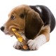 Interpet Nylabone Chew Toy for Extreme Chewers, Structural Bone Cattle and Cheese Flavour, M Interpet Nylabone Chew Toy for Extreme Chewers, Structural Bone Cattle and Cheese Flavour, M