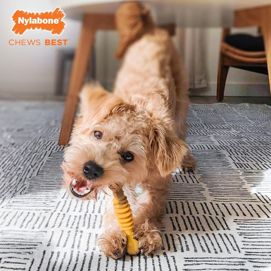 Interpet Nylabone Chew Toy for Extreme Chewers, Structural Bone Cattle and Cheese Flavour, M Interpet Nylabone Chew Toy for Extreme Chewers, Structural Bone Cattle and Cheese Flavour, M