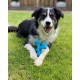 Nylabone 983770 Dura Power Chew, X-Shaped Bone, Beef Flavour, for Small Dogs (up to 11 kg), S Nylabone 983770 Dura Power Chew, X-Shaped Bone, Beef Flavour, for Small Dogs (up to 11 kg), S