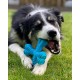 Nylabone 983770 Dura Power Chew, X-Shaped Bone, Beef Flavour, for Small Dogs (up to 11 kg), S Nylabone 983770 Dura Power Chew, X-Shaped Bone, Beef Flavour, for Small Dogs (up to 11 kg), S