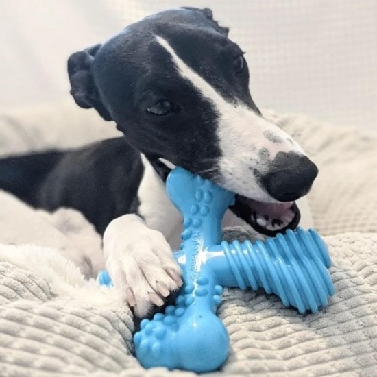 Nylabone 983770 Dura Power Chew, X-Shaped Bone, Beef Flavour, for Small Dogs (up to 11 kg), S Nylabone 983770 Dura Power Chew, X-Shaped Bone, Beef Flavour, for Small Dogs (up to 11 kg), S