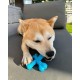 Nylabone 983770 Dura Power Chew, X-Shaped Bone, Beef Flavour, for Small Dogs (up to 11 kg), S Nylabone 983770 Dura Power Chew, X-Shaped Bone, Beef Flavour, for Small Dogs (up to 11 kg), S