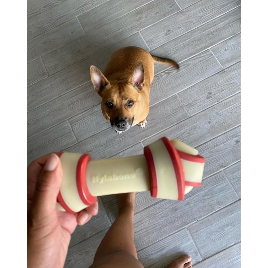 Nylabone 984101EU Raw Skin Alternative Knot Bone Beef Flavour for Medium Dogs (up to 16 kg) M Nylabone 984101EU Raw Skin Alternative Knot Bone Beef Flavour for Medium Dogs (up to 16 kg) M