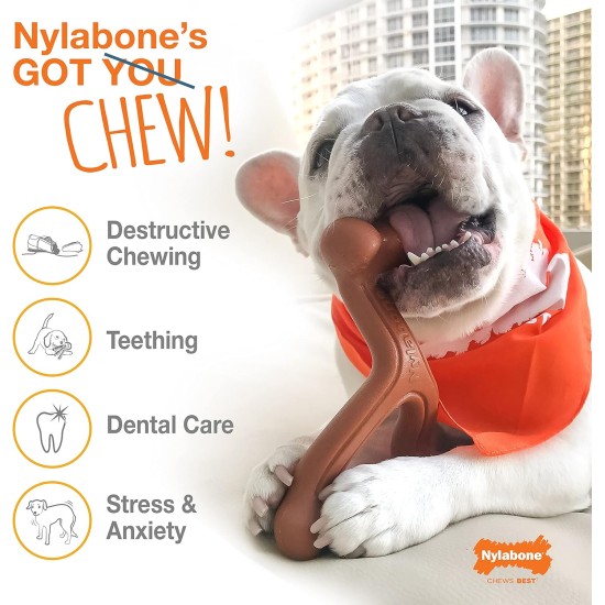 Nylabone 984101EU Raw Skin Alternative Knot Bone Beef Flavour for Medium Dogs (up to 16 kg) M Nylabone 984101EU Raw Skin Alternative Knot Bone Beef Flavour for Medium Dogs (up to 16 kg) M