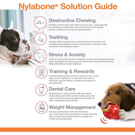 Nylabone 984101EU Raw Skin Alternative Knot Bone Beef Flavour for Medium Dogs (up to 16 kg) M Nylabone 984101EU Raw Skin Alternative Knot Bone Beef Flavour for Medium Dogs (up to 16 kg) M
