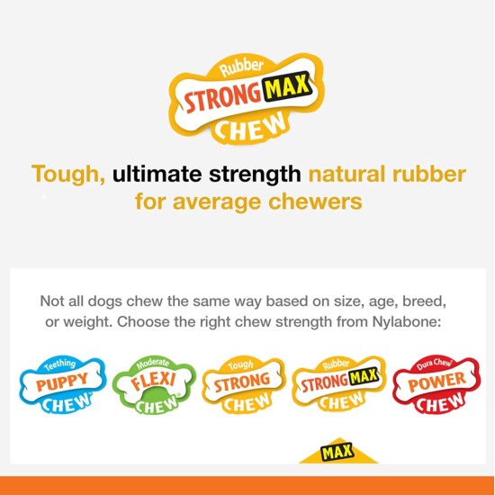 Nylabone 984654 Fillable Natural Rubber Chew Toy for Dogs, Bacon Flavour, Interactive Chew Toy, Hunting & Fetching, Suitable for Small Dogs (up to 11 kg), S Nylabone 984654 Fillable Natural Rubber Chew Toy for Dogs, Bacon Flavour, Interactive Chew Toy, Hunting & Fetching, Suitable for Small Dogs (up to 11 kg), S