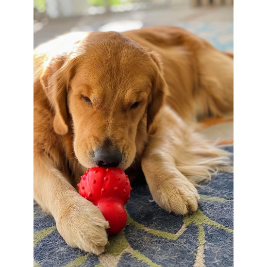 Nylabone 984654 Fillable Natural Rubber Chew Toy for Dogs, Bacon Flavour, Interactive Chew Toy, Hunting & Fetching, Suitable for Small Dogs (up to 11 kg), S Nylabone 984654 Fillable Natural Rubber Chew Toy for Dogs, Bacon Flavour, Interactive Chew Toy, Hunting & Fetching, Suitable for Small Dogs (up to 11 kg), S